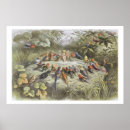 Search for doyle art Ephemera