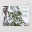 Search for evergreens postcards Winter