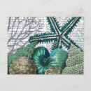 Search for starfish flower postcards Flowers