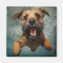 Search for swim design magnets Animal lover