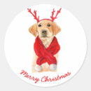 Search for labrador dog stickers Merry christmas