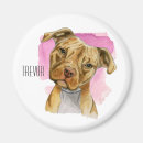 Search for pit magnets Pets