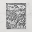 Search for male lions postcards Leo