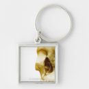 Search for inside key rings Horizontal