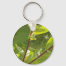 Search for green leaf key rings Closeup