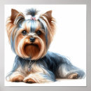 Search for yorkshire terrier posters Pet