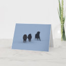 Search for iceland cards Snow