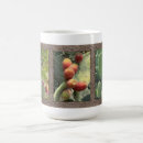 Search for prickly pear mugs Photography