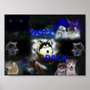 Search for blue wolves posters Black