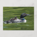 Search for lac postcards Canada