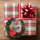 Search for shiba inu christmas cards Dog