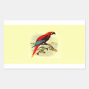 Search for ara Birds