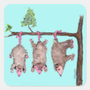 Search for hanging stickers Hang in there