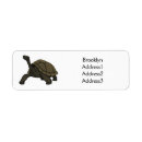 Search for tortoise return address labels Reptile