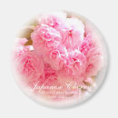 Search for double magnets Pink