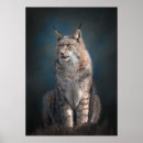 Search for lynx posters Wild animal