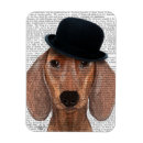 Search for dachshund magnets Animals