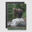 Search for predator invitations Nature