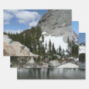 Search for dome gift wrap Nature