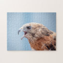 Search for birds of prey puzzles Predator