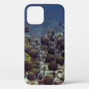 Search for reef fish iphone cases Background