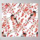 Search for bullfinch posters Watercolor