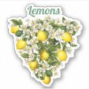 Search for fresh air stickers Pattern