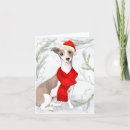 Search for italian cards Pets