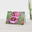 Search for hollyhock cards Flowers