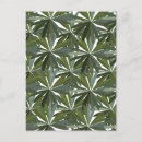 Search for leaves pattern postcards Summer