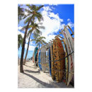 Search for hawaii sun art Pacific
