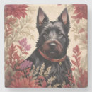 Search for scottish coasters Nature