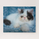 Search for black and white animal puzzles Cat