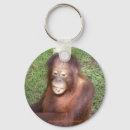 Search for species key rings Ape