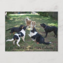 Search for family reunion cards Party