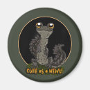 Search for newt magnets Amphibian
