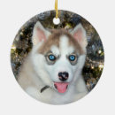 Search for white husky christmas tree decorations Cute