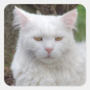 Search for yellow eyes stickers Kitty