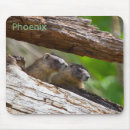 Search for groundhogs mousepads Marmot