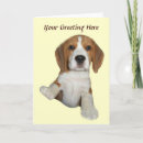 Search for cute beagles cards Puppy