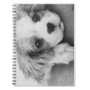 Search for cavalier king charles spaniel notebooks Canine