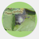 Search for painted turtle stickers Nature