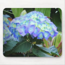 Search for blue hydrangea electronics Nature