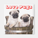 Search for barrel magnets Cute