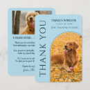Search for pet photo cards Puppy