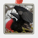 Search for ecuador christmas tree decorations Colourful