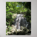 Search for el yunque posters Travel