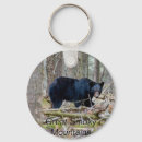Search for wild bears key rings Animal