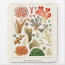 Search for coral sea mousepads Vintage