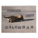Search for smooth office supplies Doxie